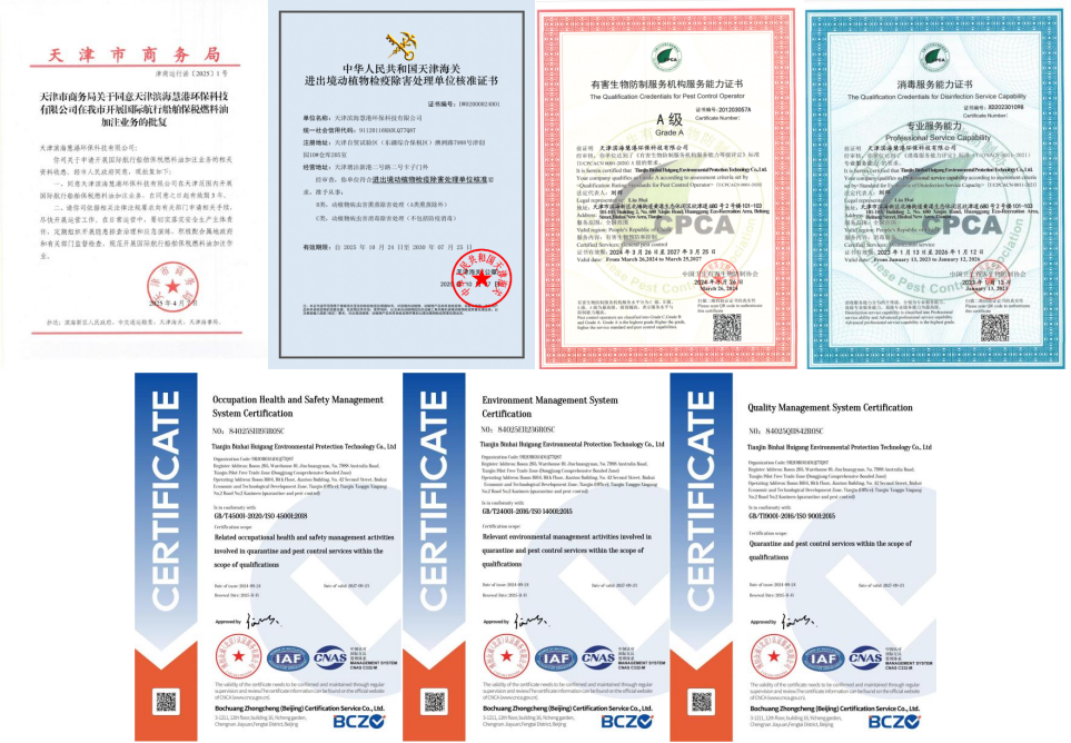 1764308281341 1764308281341