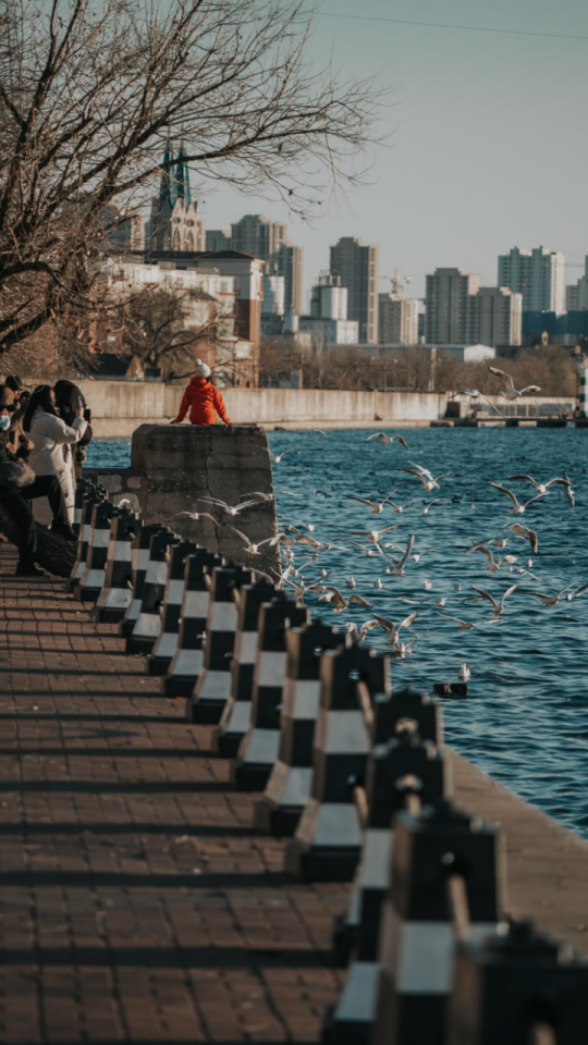 1765782369730 1765782369730